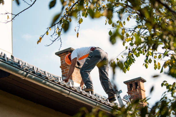 Roof Insulation in Haskins, OH