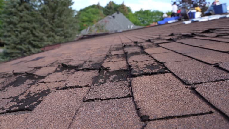 Best Rubber Roofing (EPDM, TPO)  in Haskins, OH