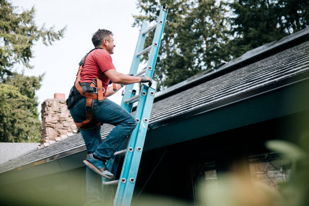 Best Green or Eco-Friendly Roofing Solutions  in Haskins, OH